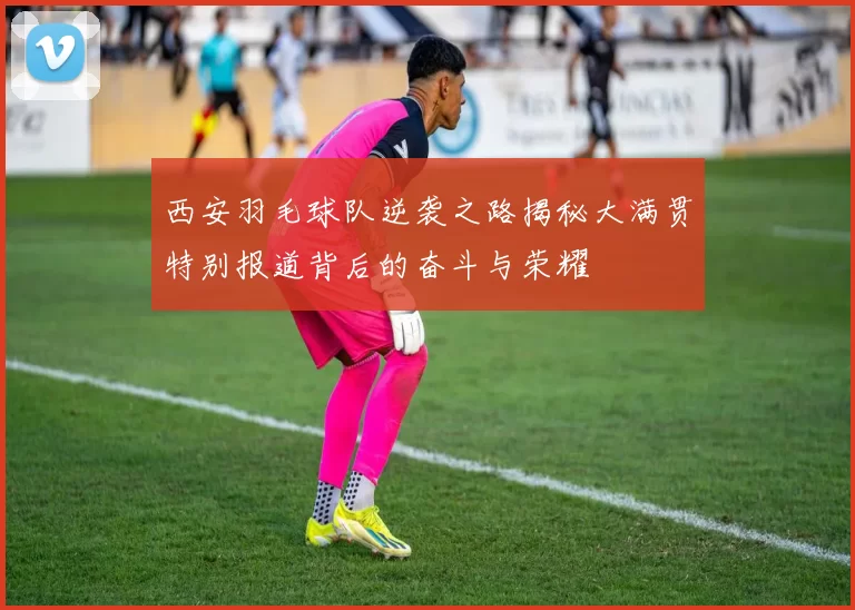 西安羽毛球队逆袭之路揭秘大满贯特别报道背后的奋斗与荣耀