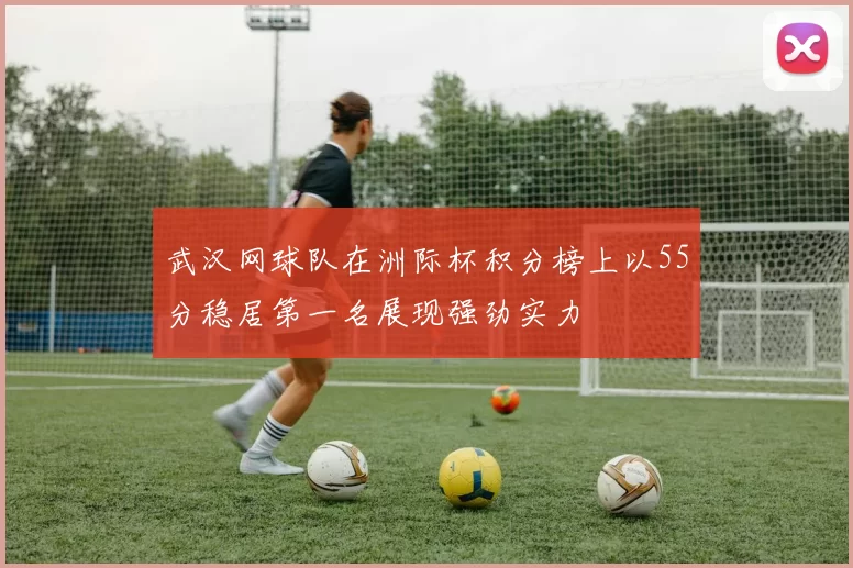 武汉网球队在洲际杯积分榜上以55分稳居第一名展现强劲实力