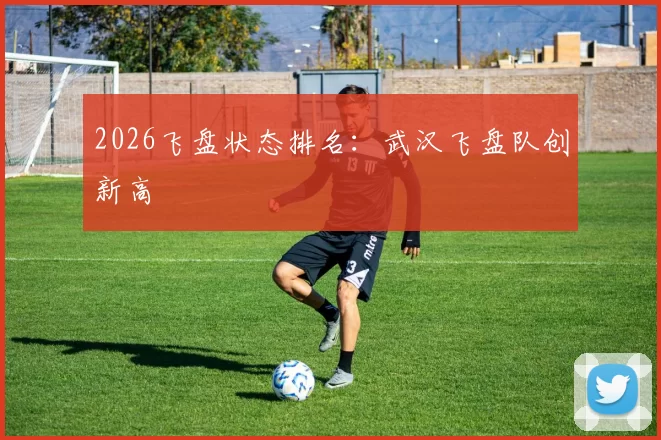 2026飞盘状态排名：武汉飞盘队创新高