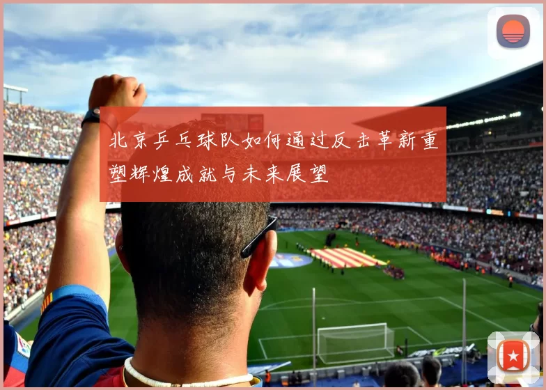 北京乒乓球队如何通过反击革新重塑辉煌成就与未来展望