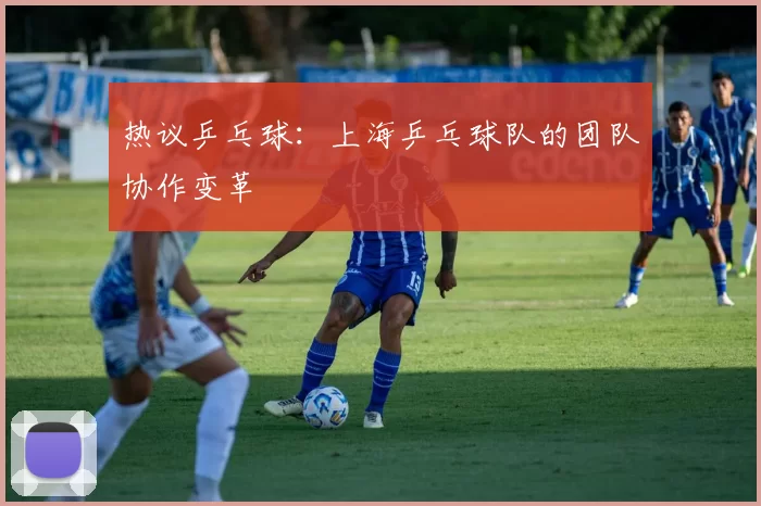 热议乒乓球：上海乒乓球队的团队协作变革