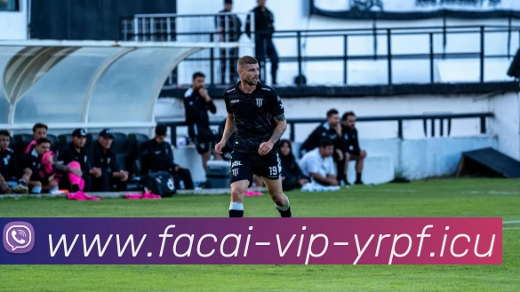 华体会体育平台生态图